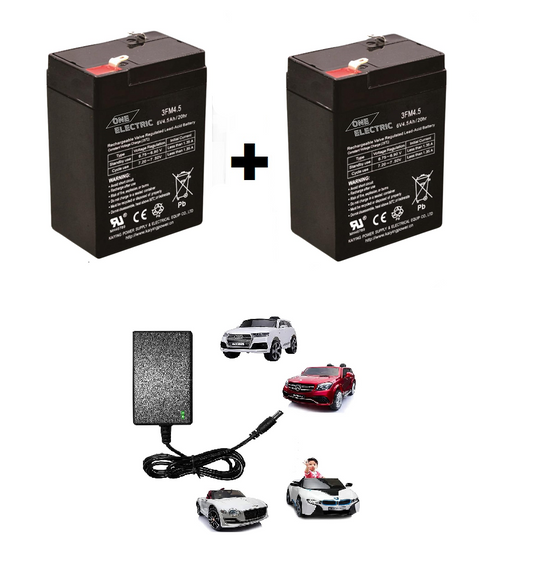 ONE ELECTRIC 6V 4.5A rechargeable battery  (2+1 charger)