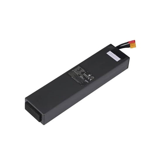 LITHIUM BATTERY 48 VOLT - 10 AH